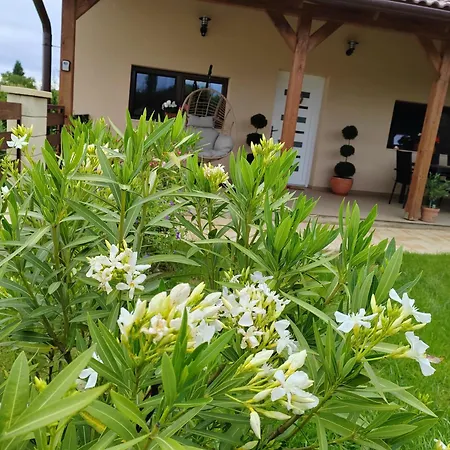 Apartament Gimes Cserszegtomaj