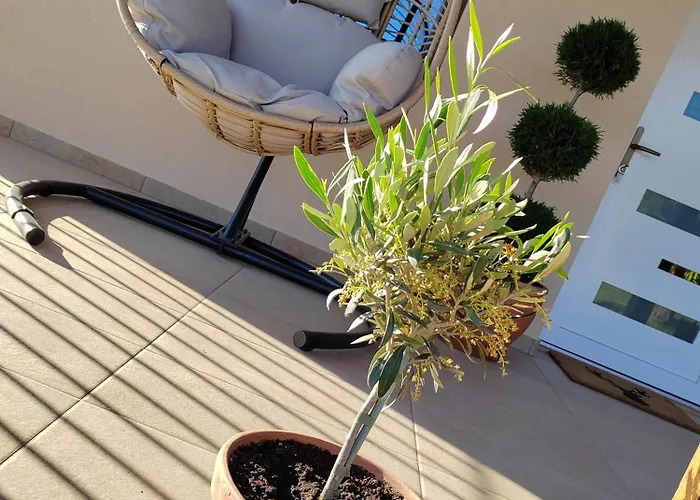 Gimes Daire Cserszegtomaj