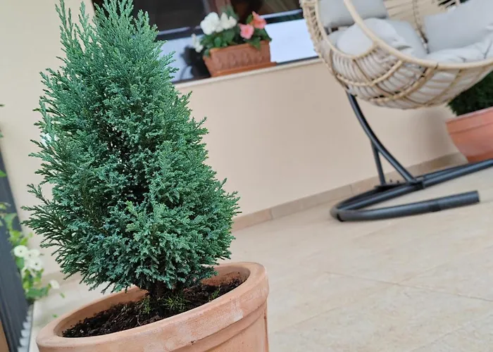 Gimes * Cserszegtomaj