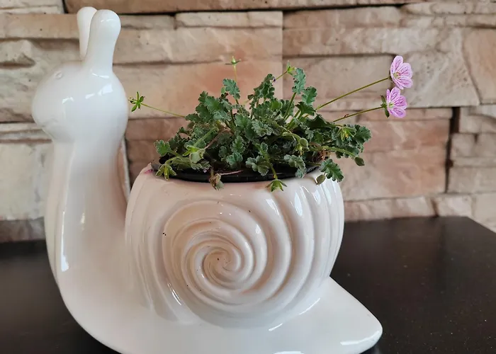 Gimes * צ'רסגטומאי